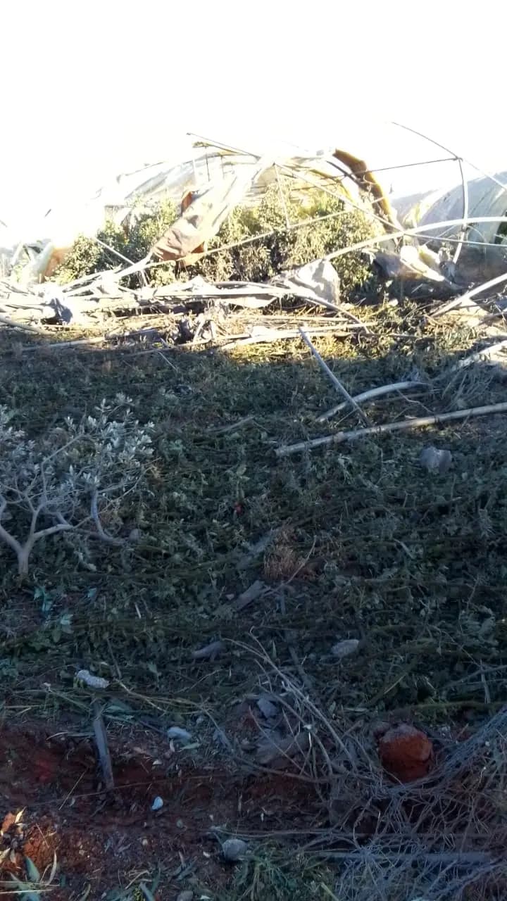 صورة 1