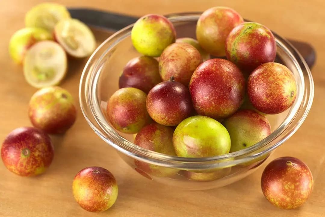 صورة 1