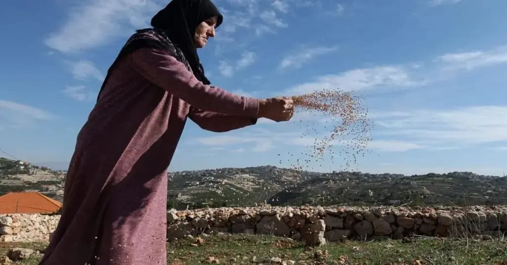 هل عاد الهدوء إلى الجنوب وماذا عن دعوة السيد نصر الله للعودة إلى المنازل؟