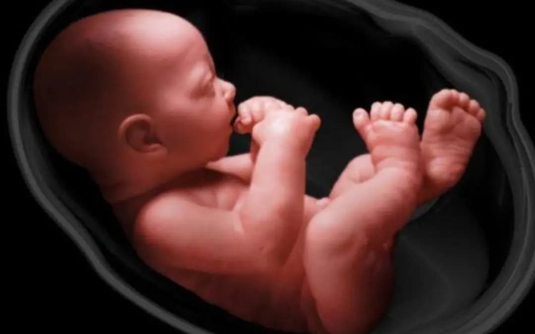 المحكمة الأمريكية تلغي الإجهاض وبايدن يعترض