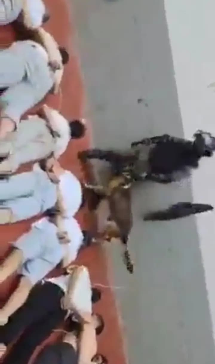 صورة 1
