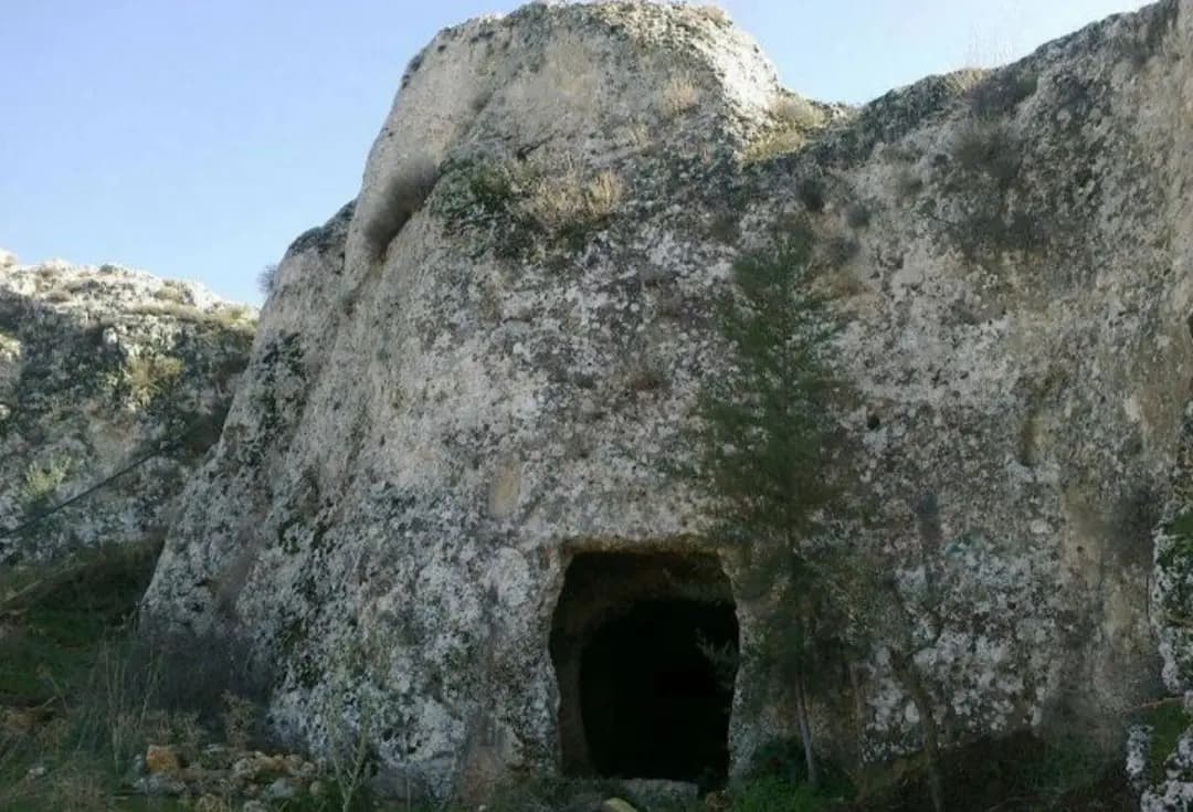 صورة 2