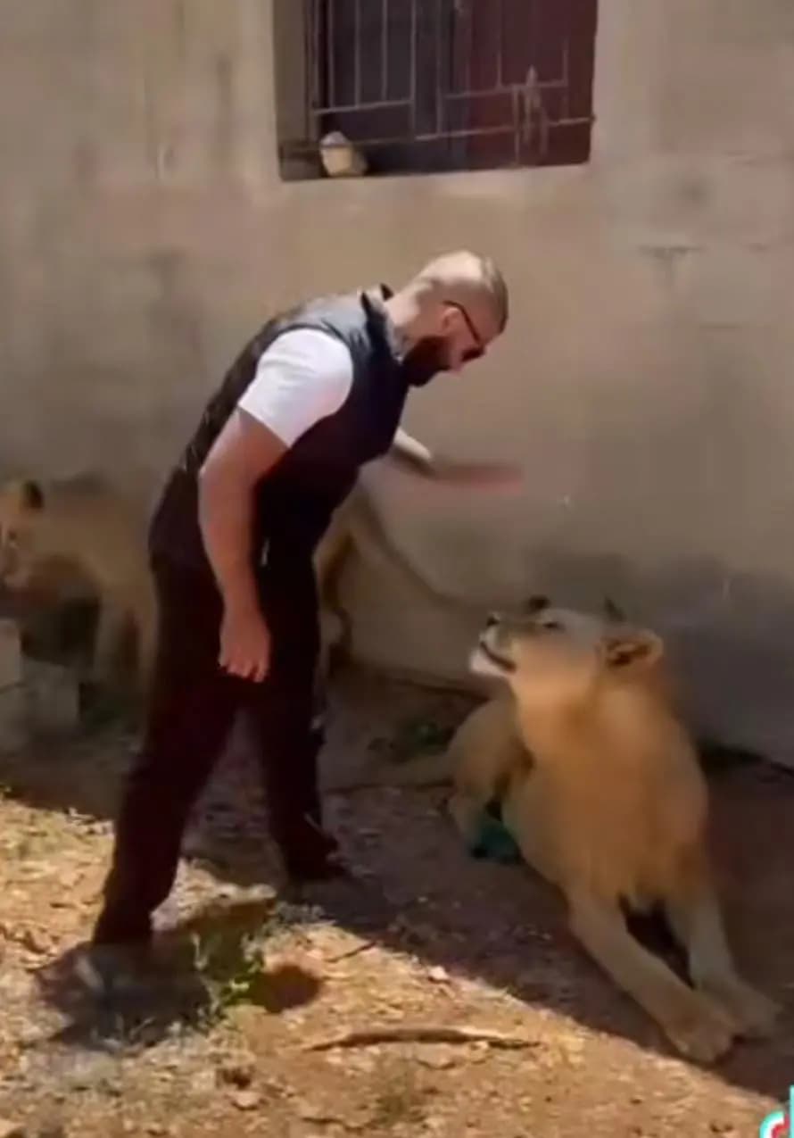 صورة 1