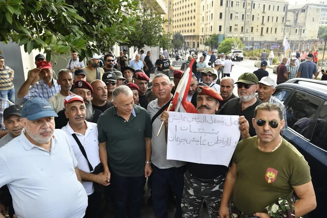 صورة 19