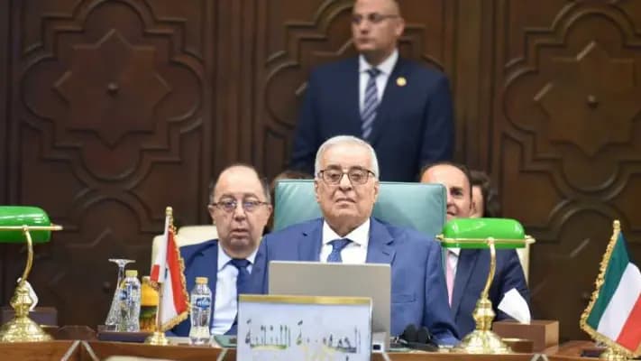 "بخصوص لبنان".. هذا ما قاله "بوحبيب" من الجامعة العربية
