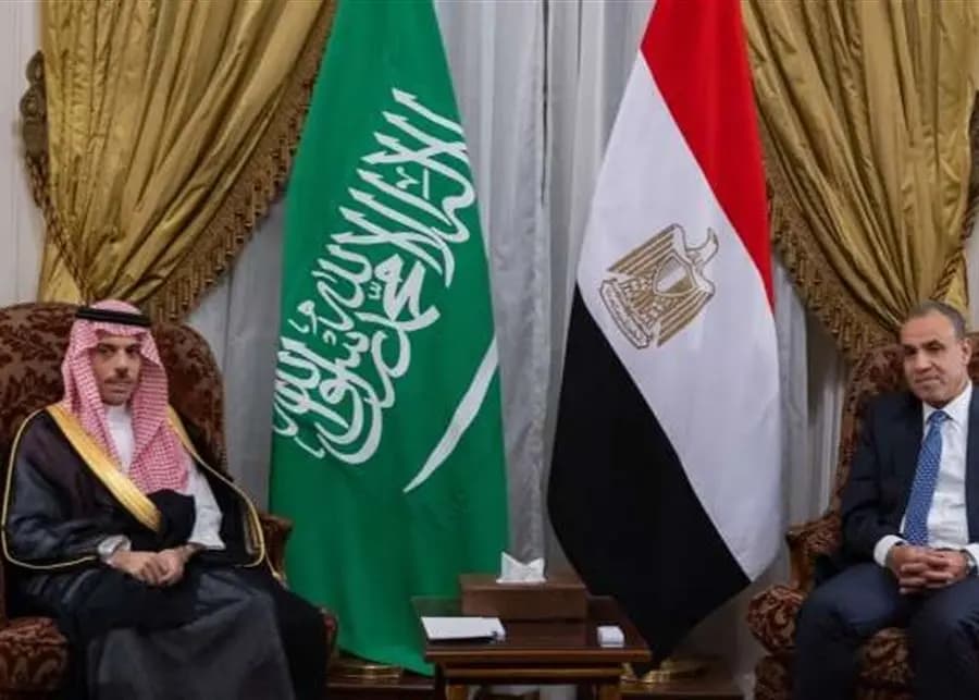 عبد العاطي يلتقي بن فرحان: لوقف العدوان "الإسرائيلي" على الأراضي الفلسطينية