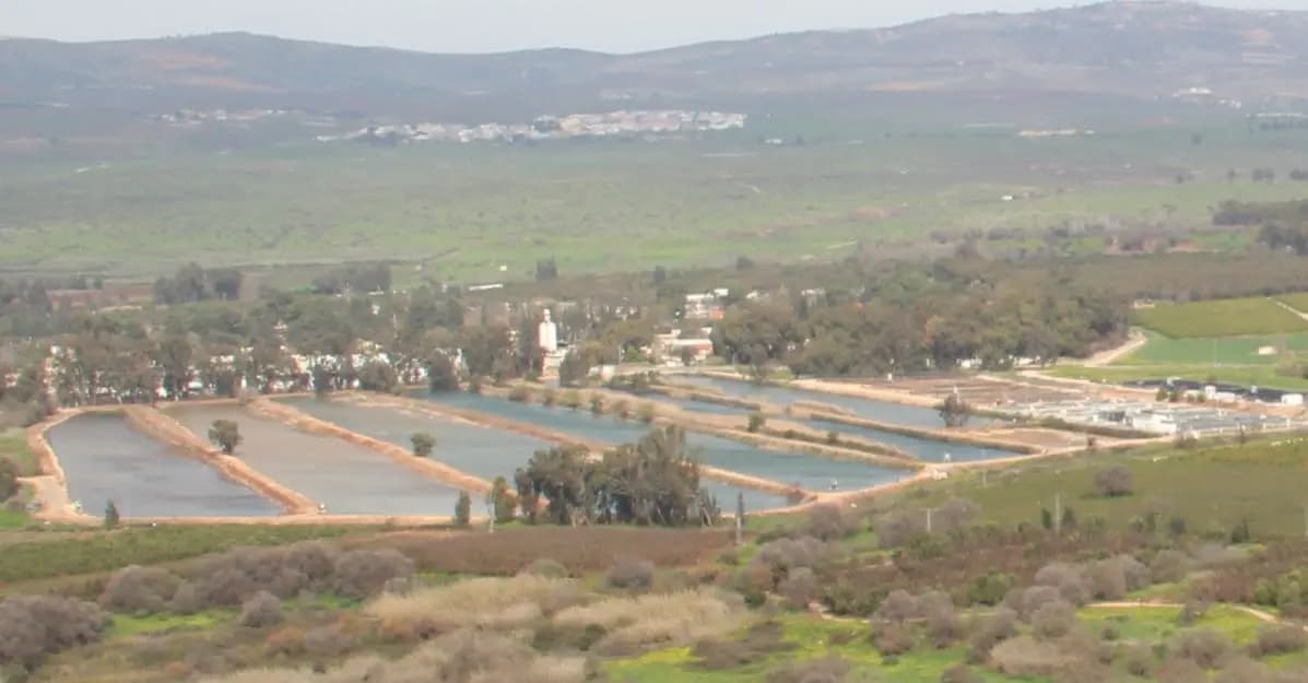 ردًّا على اعتداء النبطية - زبدين.. الحزب يستهدف حاجزًا عسكريًّا