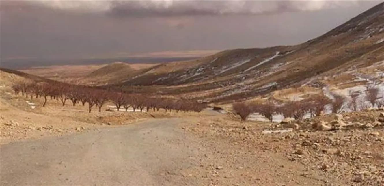 خلاف واطلاق نار وسقوط قتيل عند الحدود اللبنانية السورية..
