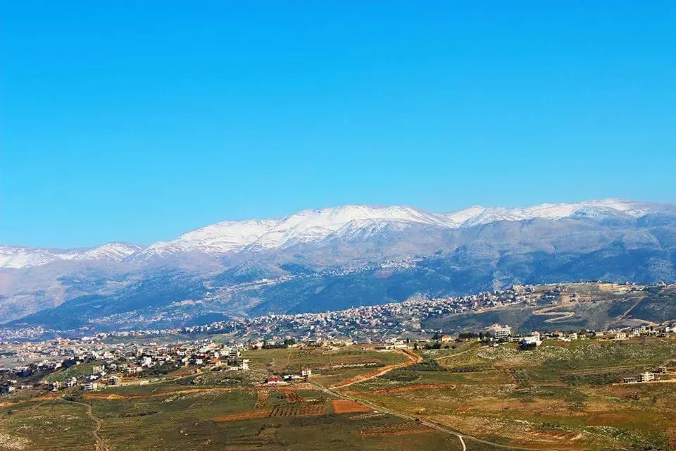 العدو يرتكب مجزرة في أرنون