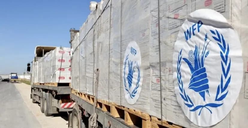 "الغذاء العالمي": الوضع وصل إلى نقطة الانهيار في شمال القطاع وجنوبه