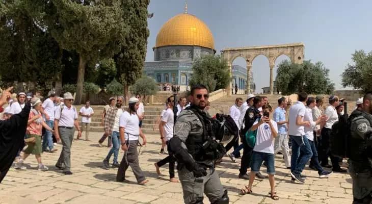 "بالغناء والفرحة".. المستعمرون يقتحمون الأقصى