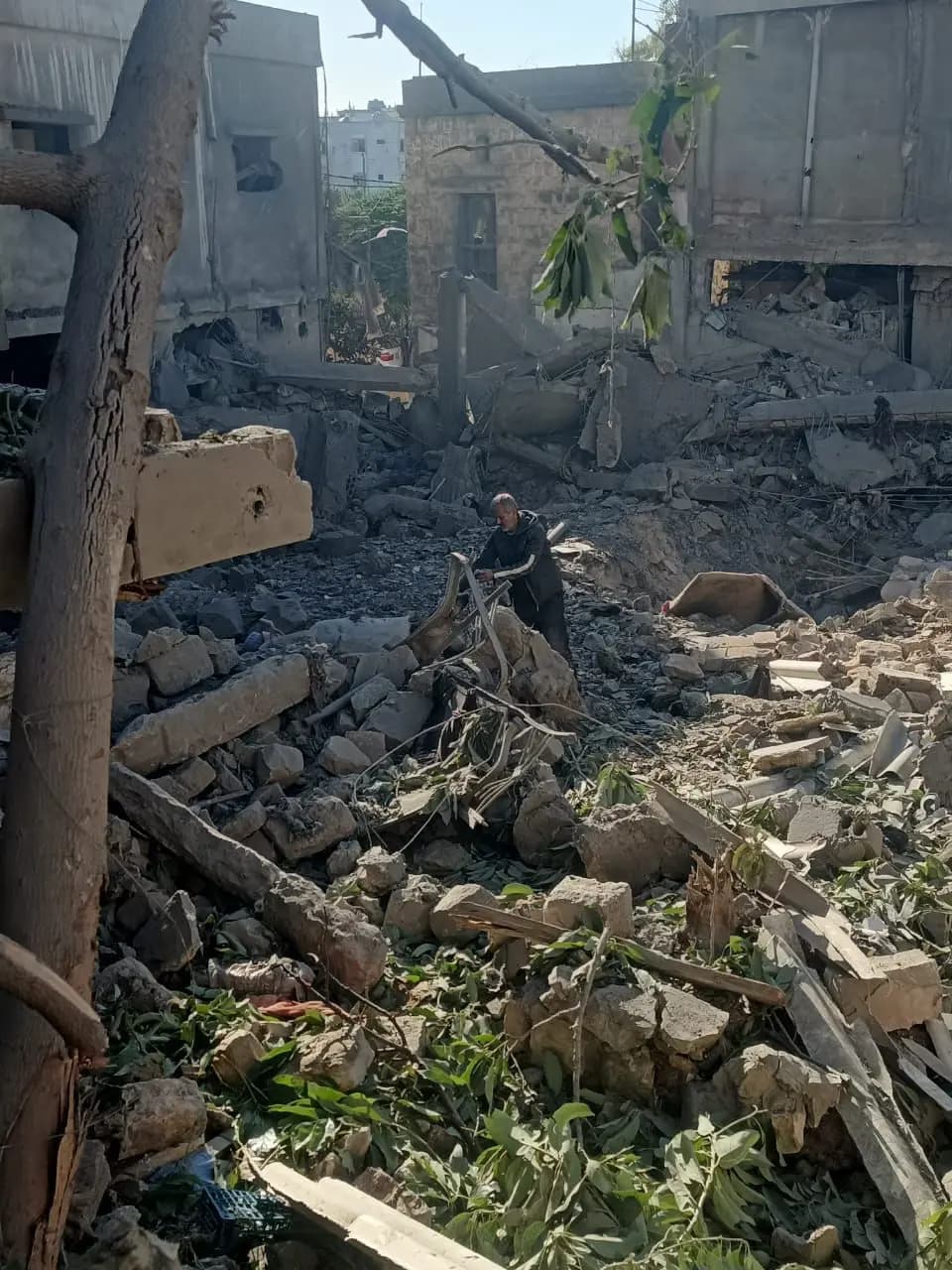 صورة 2