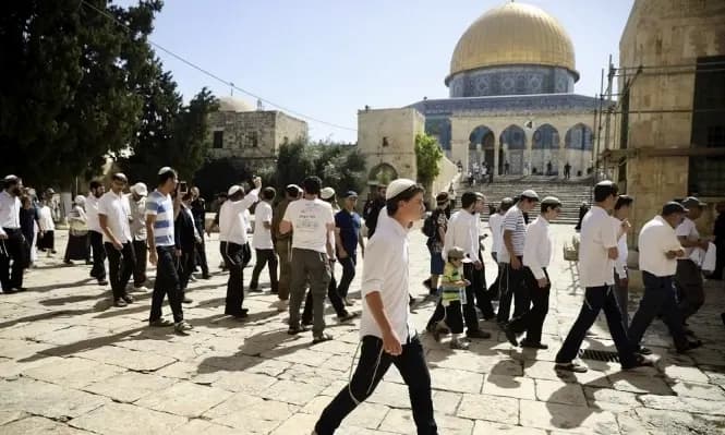 "طقوس تلمودية".. مستوطنون يقتحمون المسجد الأقصى