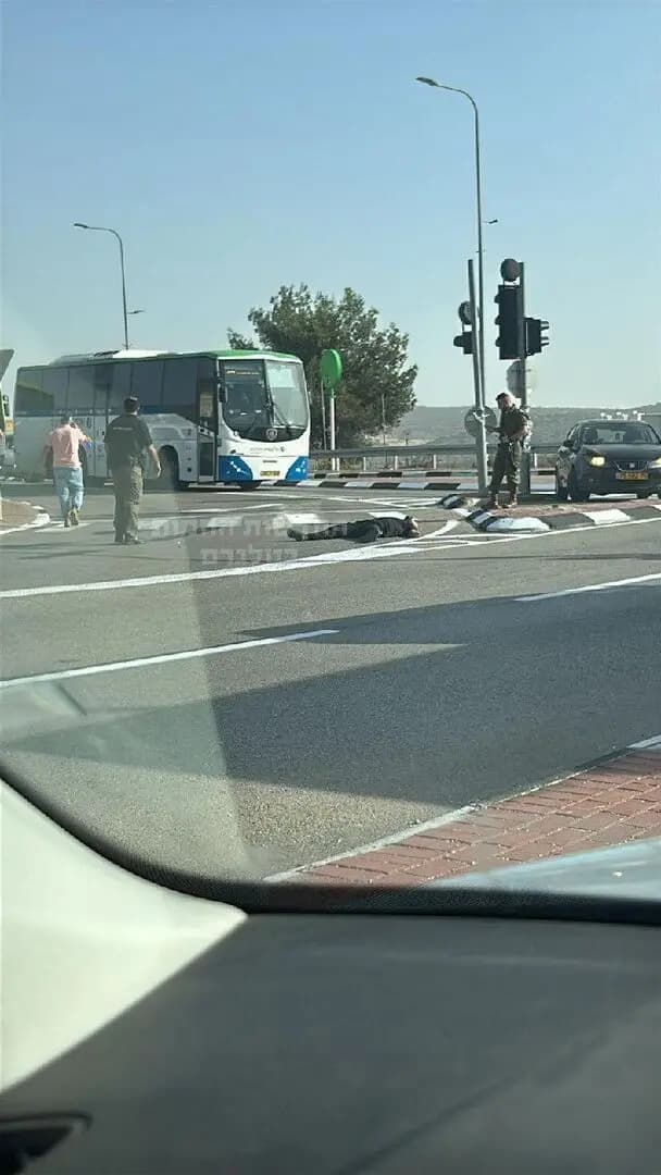 "في مستوطنة شيلو".. عملية مدمجة بين دهس وإطلاق نار