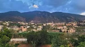 استهداف منزل في عربصاليم