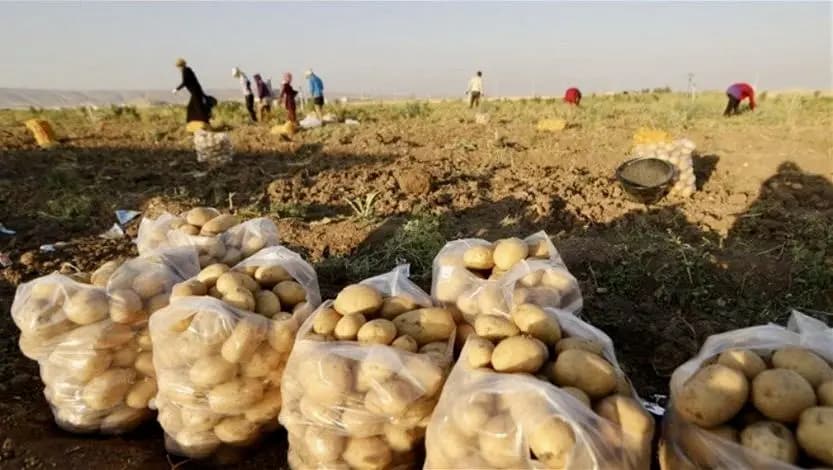الترشيشي: ما زلنا نعيش تبعات الحرب