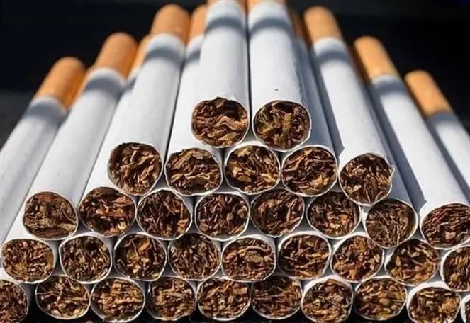 الريجي تعاود نشاطها... وهذا ما ضبطته في جبل الريحان