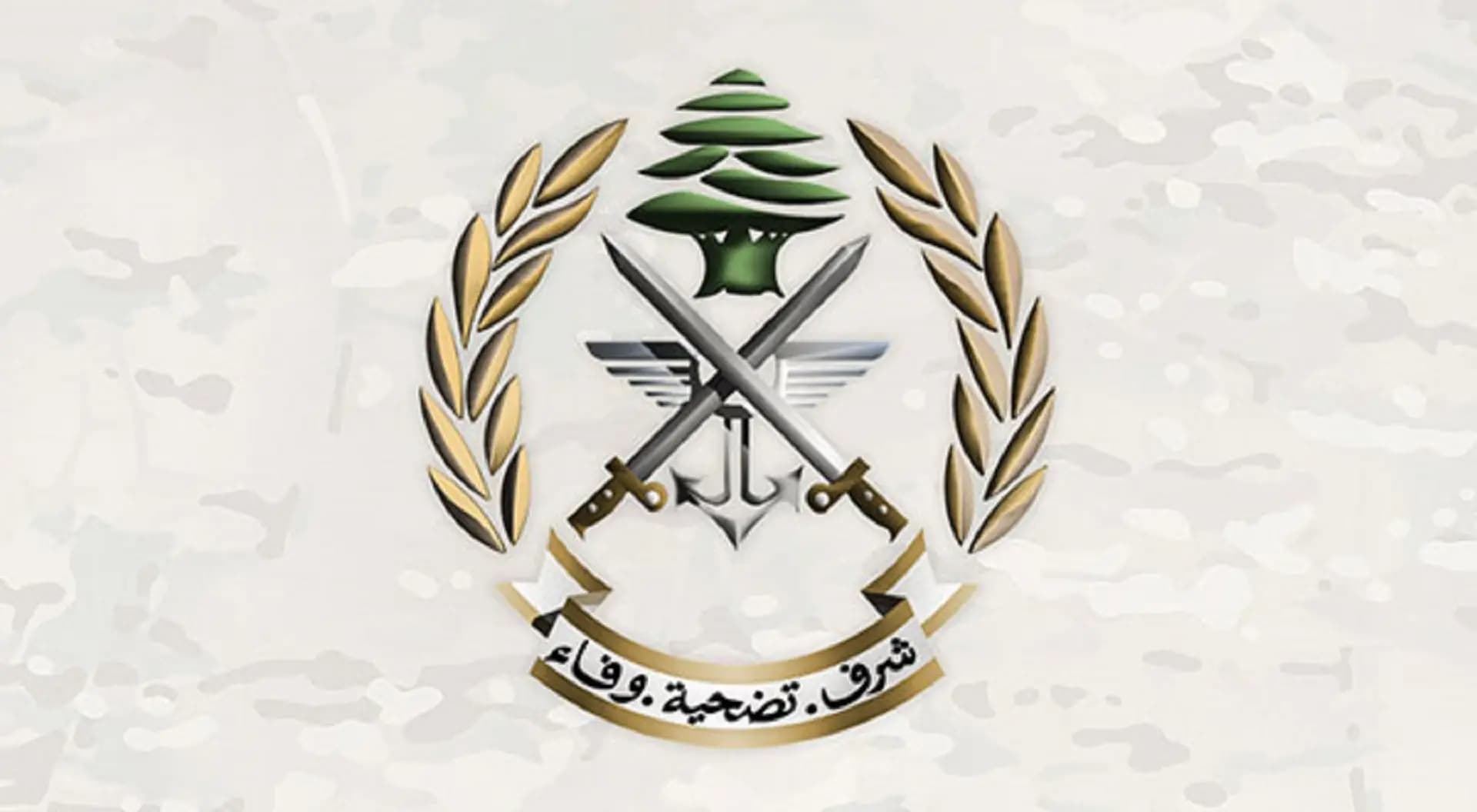 الجيش يفجر ذخائر غير منفجرة في منطقة صور