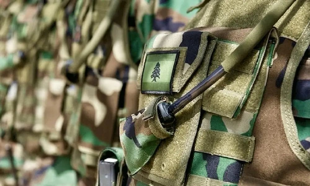 الجيش يفجر مخلفات في راشيا والطيبة