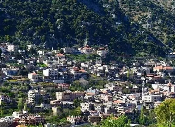 أطلقوا النار عليه في مشغرة.. ماذا جرى مع مسؤول الحزب؟