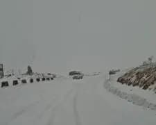 العاصفة "أسيل" تُعيد الحياة إلى الأرض