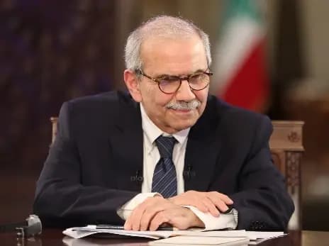 لقاءات لسلام في السراي