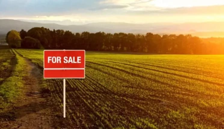 إقبال على شراء الأراضي الخاصة والعمليات العقارية تنحصر للميسورين