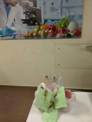 في الجنوب.. جولة على المصانع الكبرى ومحاضر ضبط