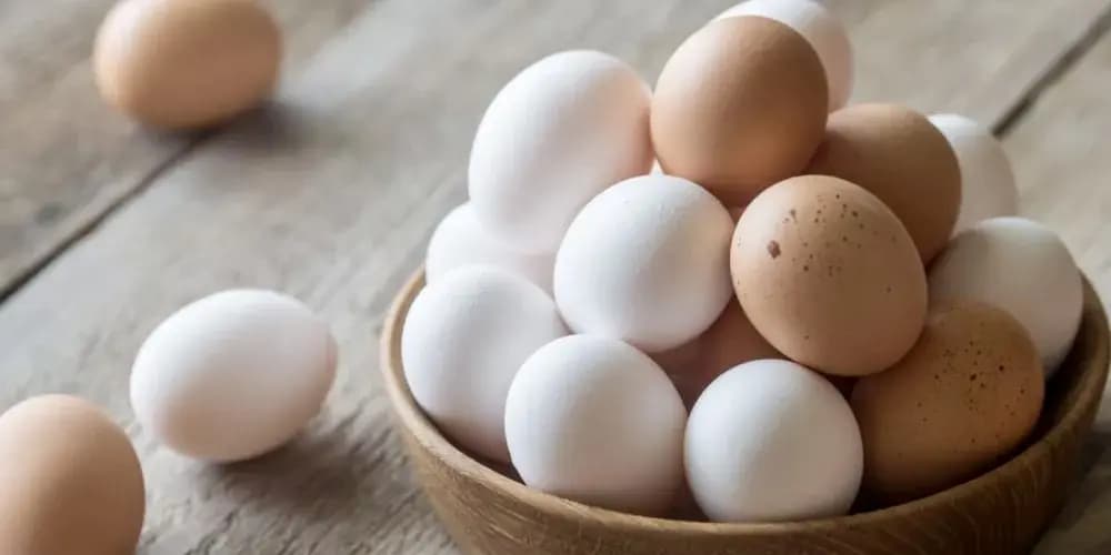 السويد ترفض تصدير البيض لأمريكا!