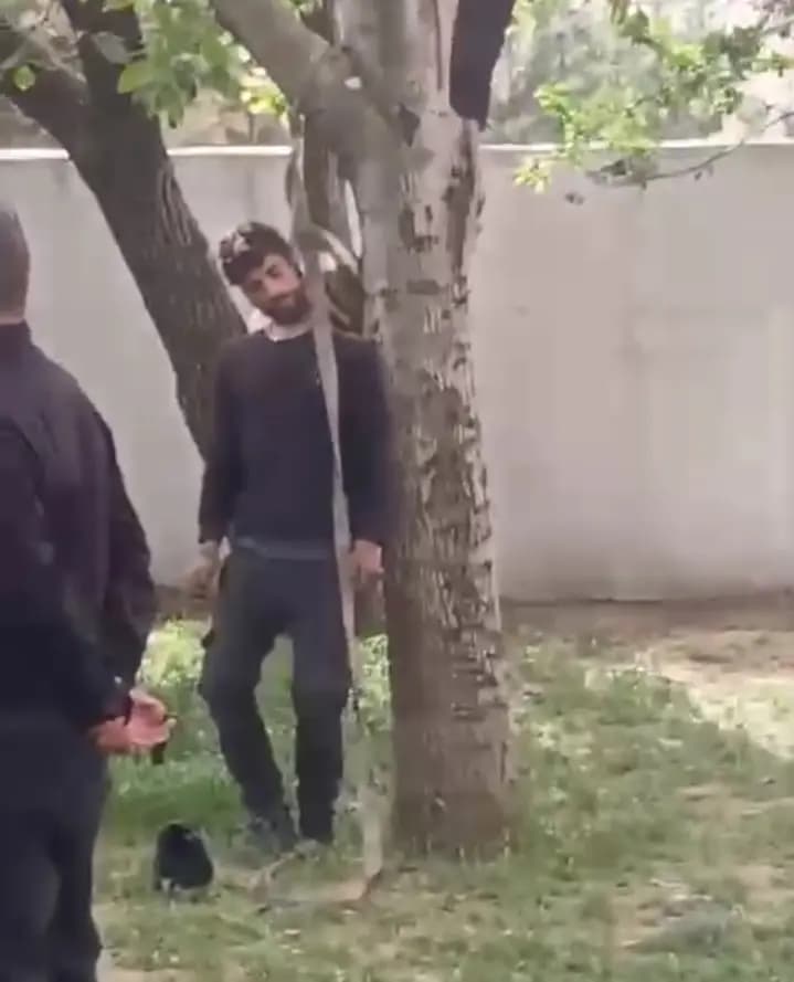 صورة 1