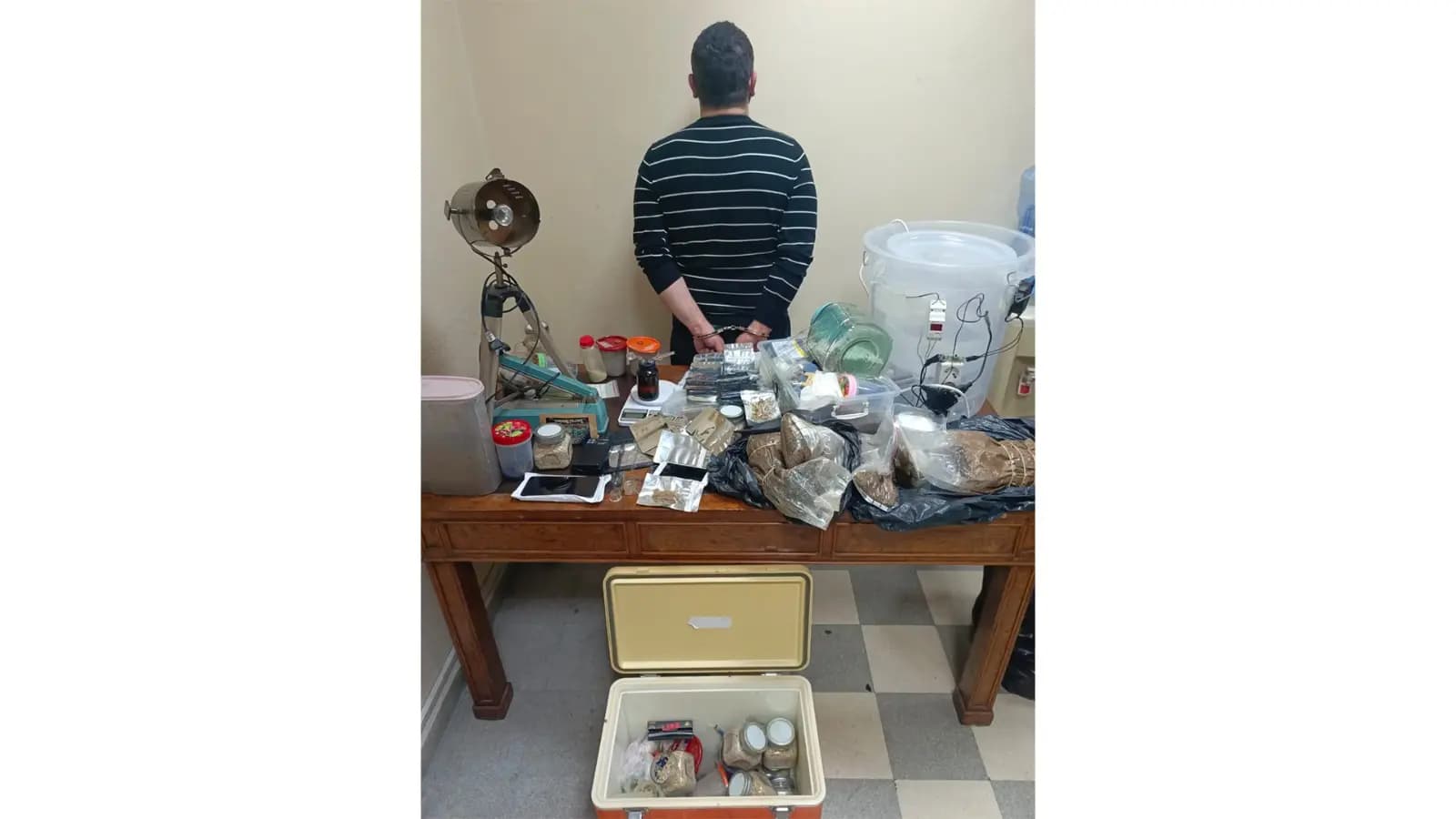 الـ "Magic Mushroom" يحرّك قوى الأمن!