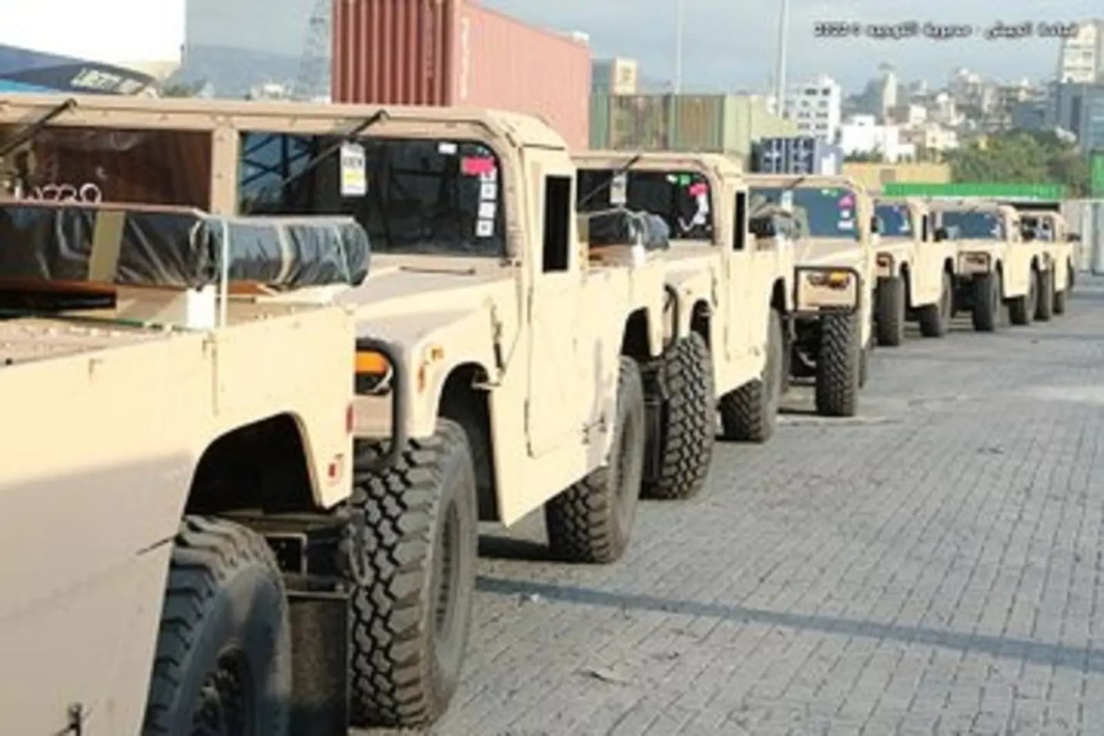 صورة 3