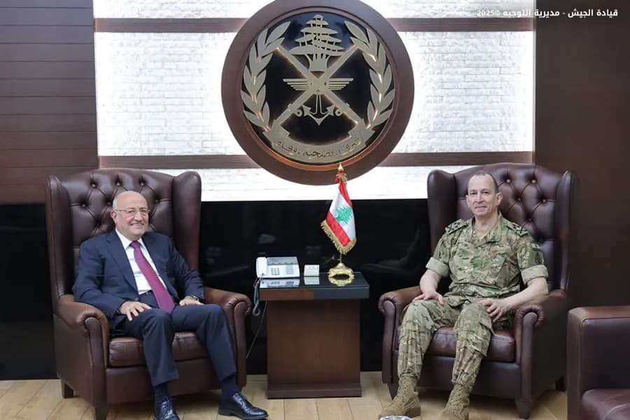 هيكل يستقبل العريضي لبحث الأوضاع العامة