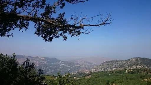 بعد رصد "الرابيد" في الضنية.. هذا ما وجد داخله