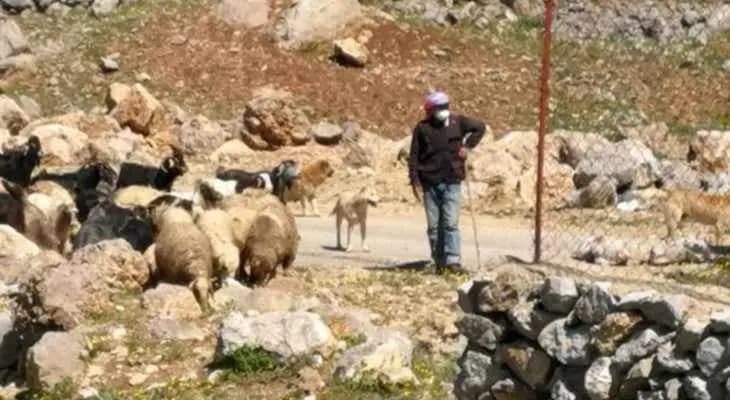 راعي يتعرّض لمحاولة خطف من قبل إسرائيل في شبعا