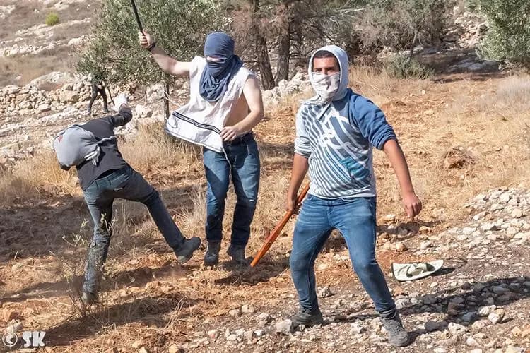 عنف المستوطنين يتصاعد والاتحاد الأوروبي يحذّر