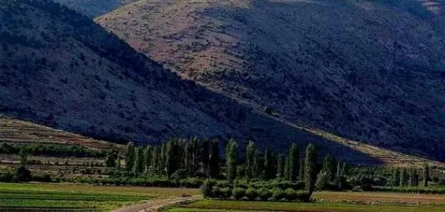 البقاع الأخضر يتحوّل إلى تراب.. والمزارع يتنفس الصعداء