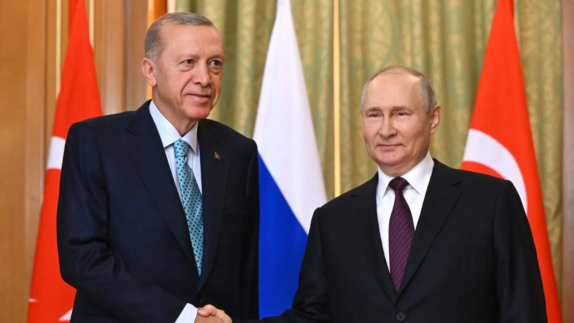 أردوغان يؤكد لبوتين ضرورة احترام سيادة سوريا