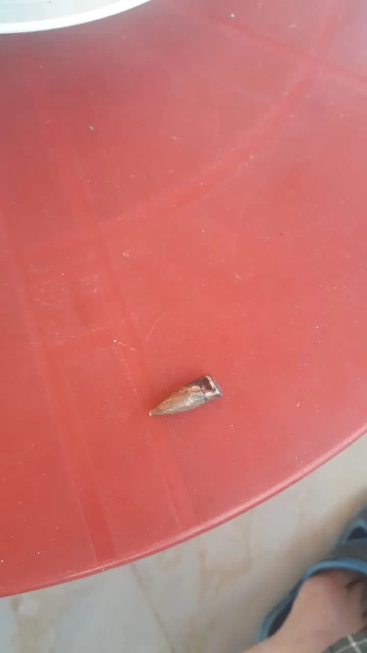 صورة 3