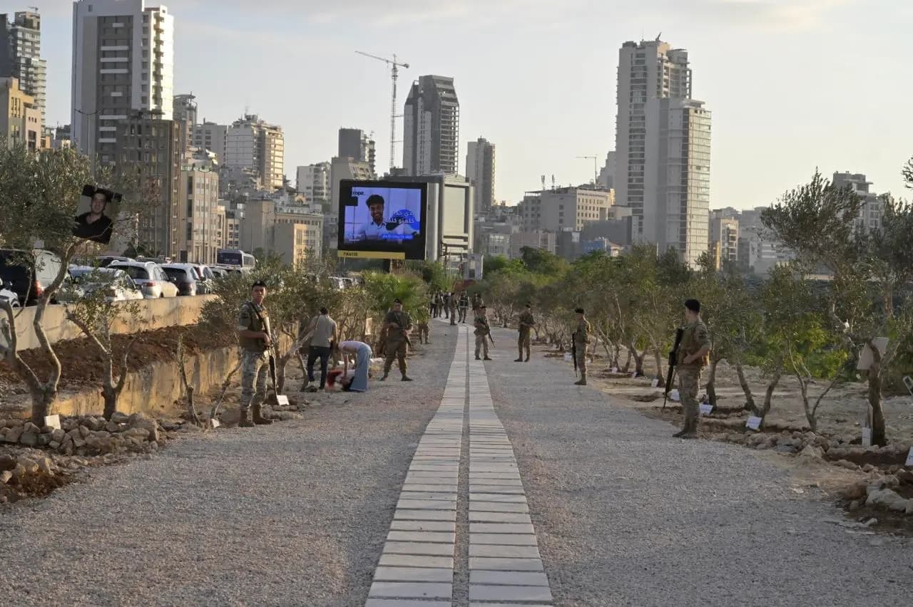 صورة 6