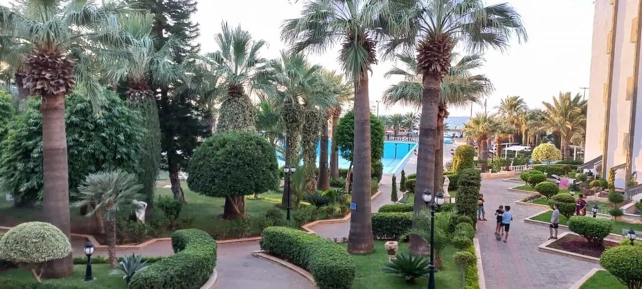 في طرابلس.. إلغاء حفل بسبب احتيال