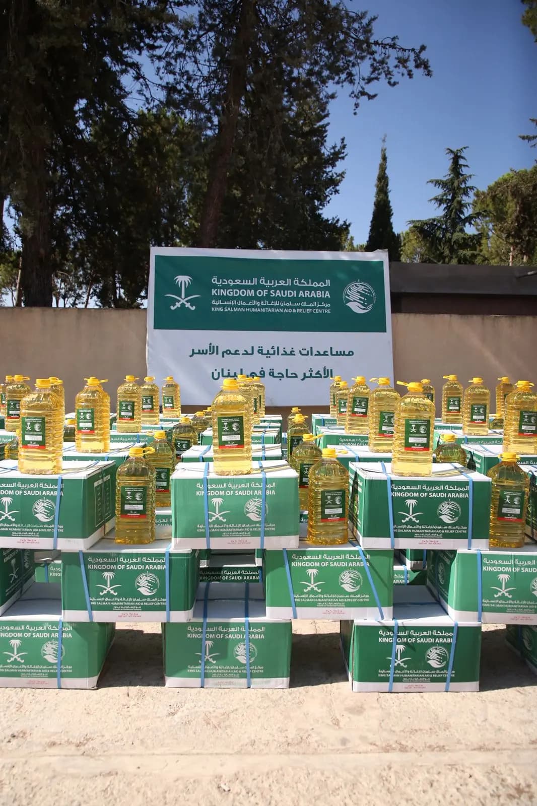 البقاع يحتفي بالعطاء السعودي بالتعاون مع الغد الأفضل