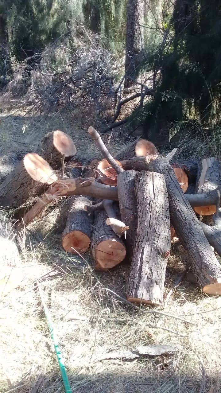 صورة 1