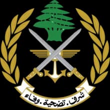 الجيش: تنفيذ طيران ليلي