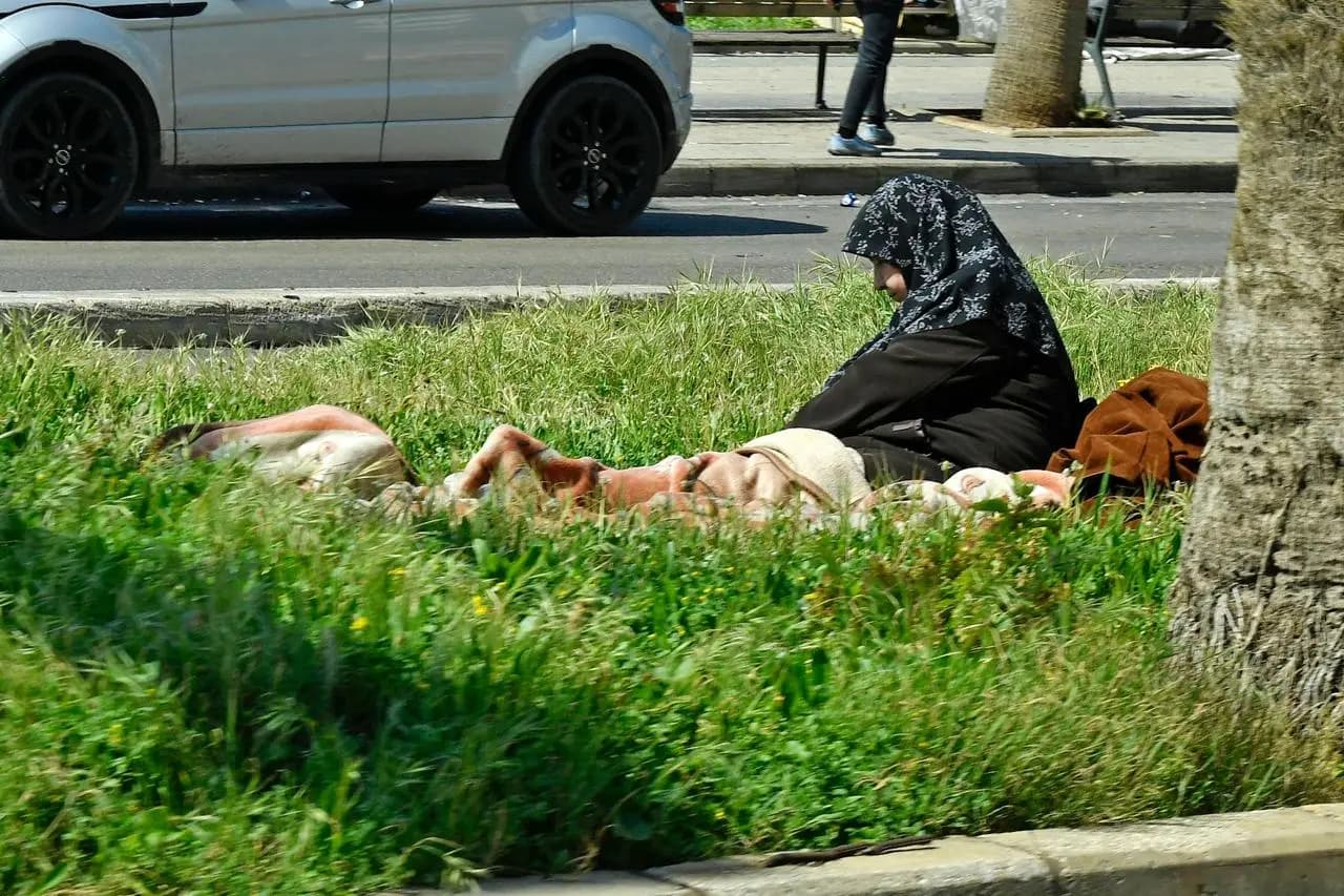 صورة 3