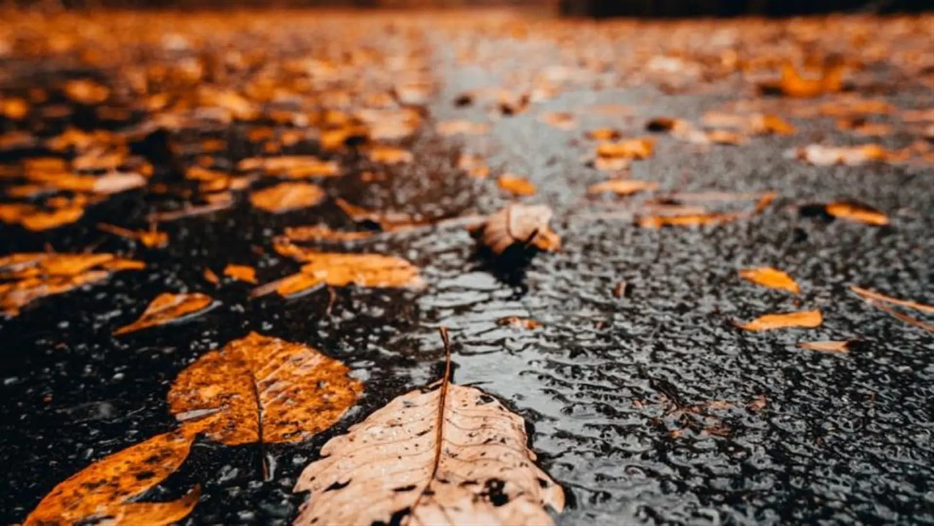 أمطار الخريف تصل الخميس