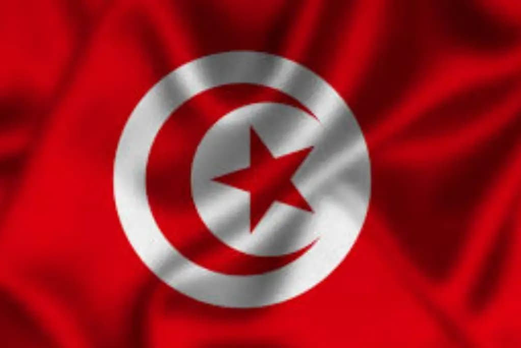 الرئيس التونسي: بعض رؤساء البلديات يرهبون المواطنين لجمع التزكيات لمرشحيهم للانتخابات المقبلة