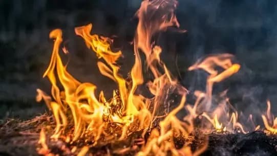 حريق كبير في أحراج بلدة رأس المتن