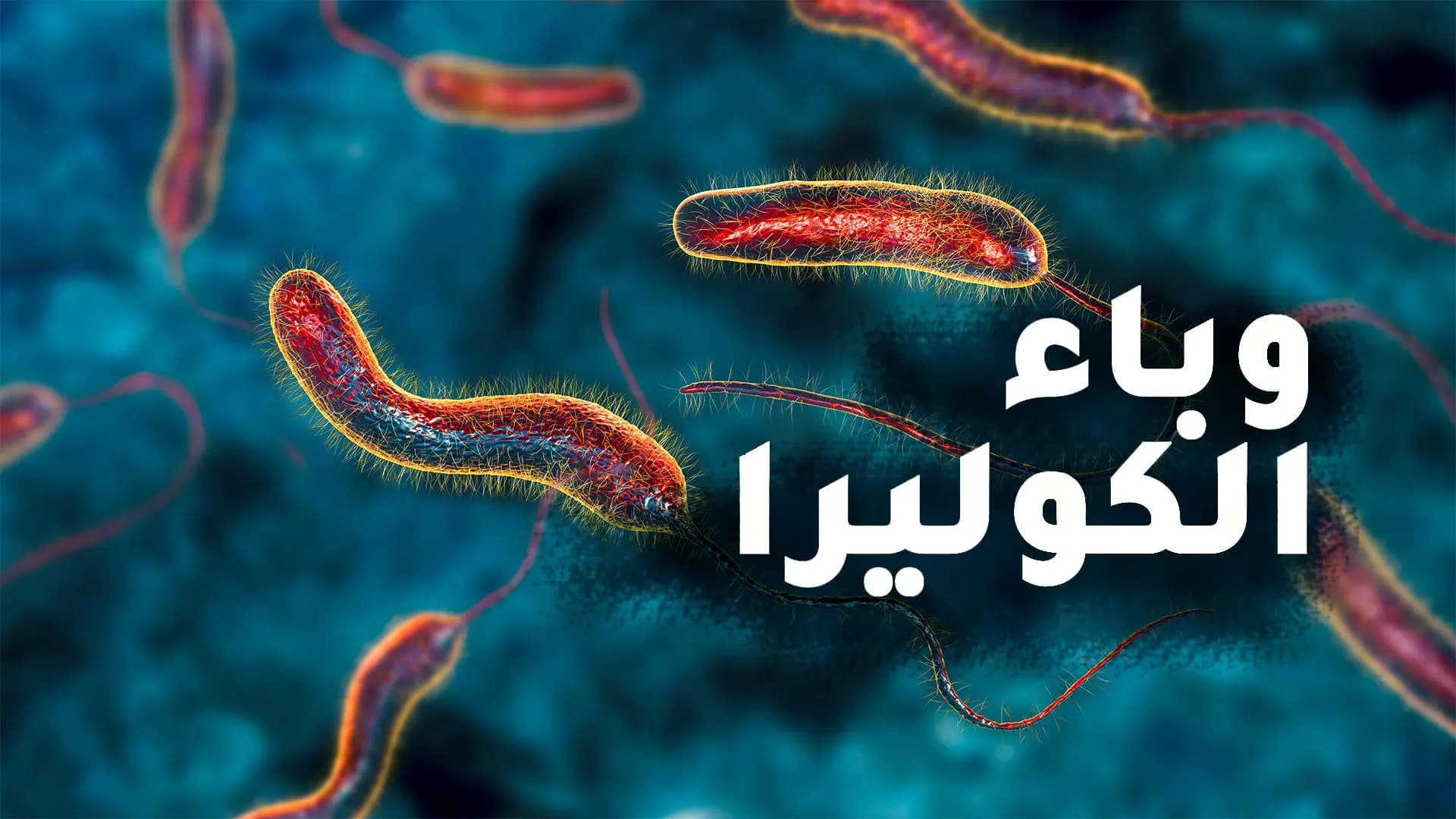 تسجيل إصابات كوليرا جديدة