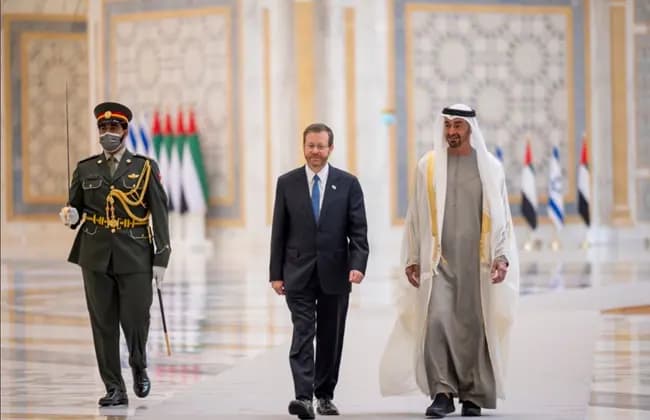 الاحتلال.. في بلادنا!